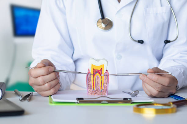 Best Broken or Chipped Tooth Repair in Portageville, MO